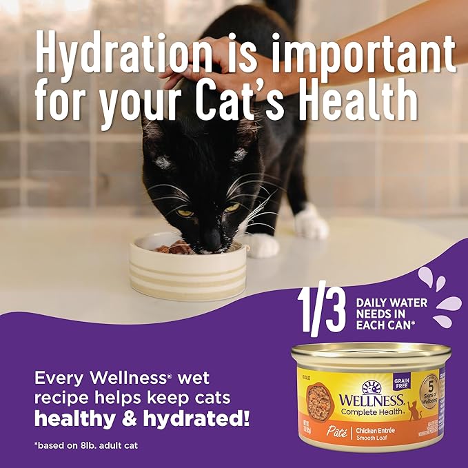 Wellness Complete Health Pate Adult Wet Cat Food, Natural, Protein-Rich, Grain Free, 12.5 Ounce, 12 Pack, (Chicken & Herring)