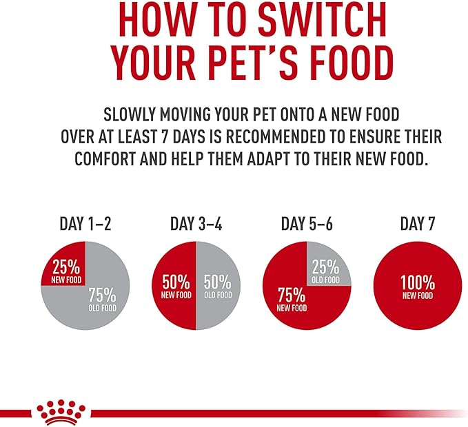 Royal Canin Feline Care Nutrition Digestive Care Adult Chunks in Gravy Cat Food, 3 oz (Pack of 12)