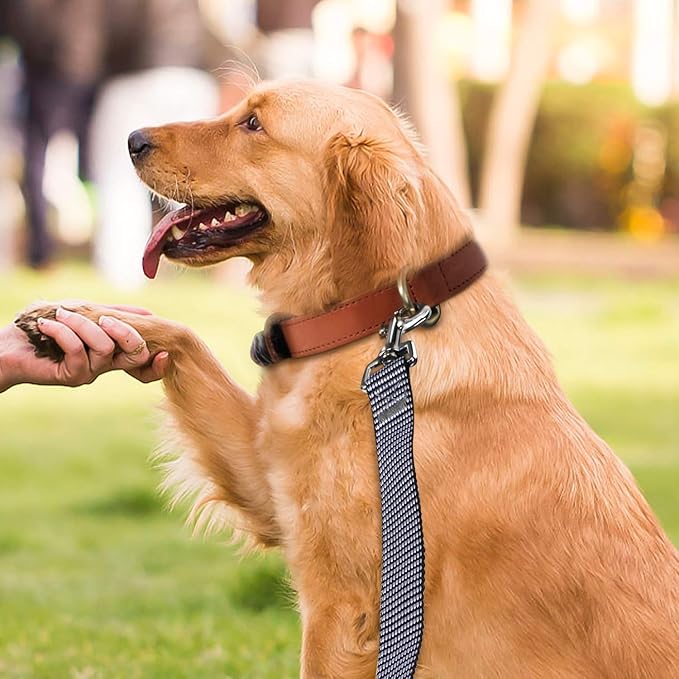 Hi Kiss Dog/Puppy Obedience Recall Training Agility Lead - 15ft 20ft 30ft 50ft 100ft Training Leash - Great for Training, Play, Camping, or Backyard(20ft,Black_White)
