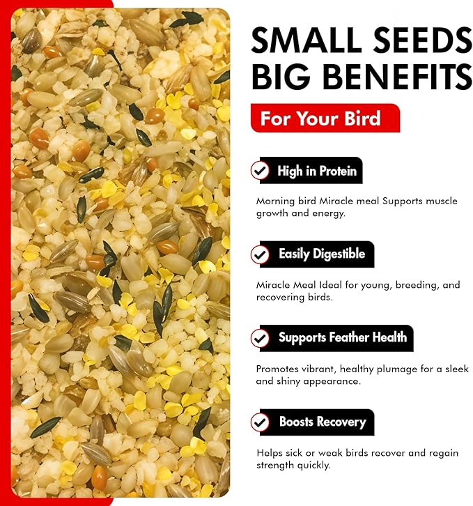 Morning Bird Miracle Meal 3 lbs (2-Pack, 1.5 lbs Each) – Vitamin Fortified Soft Bird Food for Birds - All-Natural No Artificial Dyes, Flavors or preservatives - Supports Feather Strength & Breeding