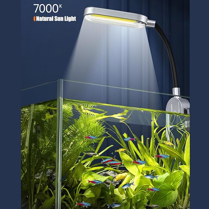 1.5 Gallon Fish Tank Starter Kits, Nano Glass Aquarium with Filter, Led Light for Aquascape DIY Small Betta Fish Tank