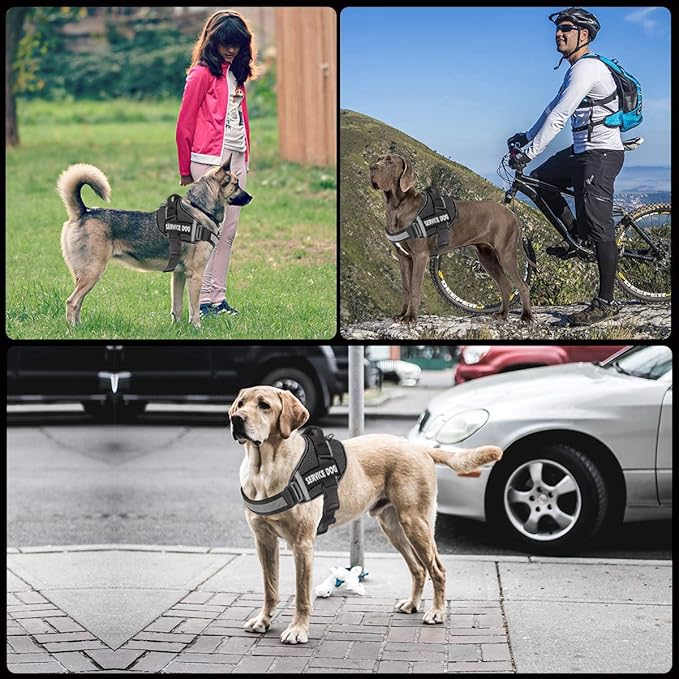 JSXD Dog Harness,No-Pull Service Dog Harness with Handle Adjustable Outdoor Pet Dog Vest 3M Reflective Nylon Material Vest for Breeds,Easy Control for Small Medium Large Dogs, XS, Black