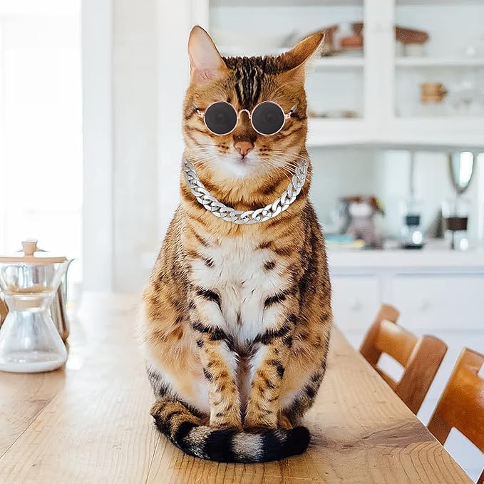 Cat Sunglasses Gold Chain Costume Decorations UV Protection Classic Retro Puppy Retro Sunglasses Faux Photo Props