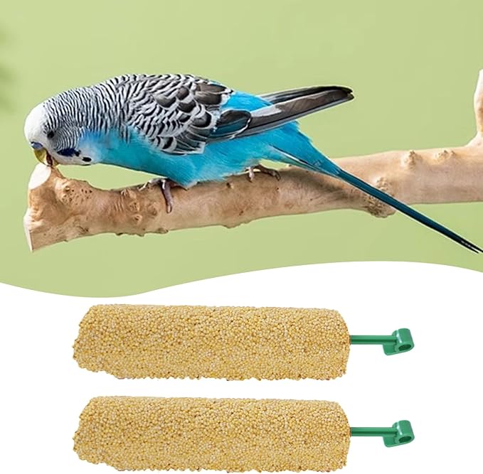 Cockatiel Treat - | 2 Pieces Bird Snacks | Pet Bird Treat Sticks | Cockatiel Treats, Pet BirdTreat Sticks Training Food Rewards Chewing Foraging Snacks for Myna Parakeet Finch Conure Parrot