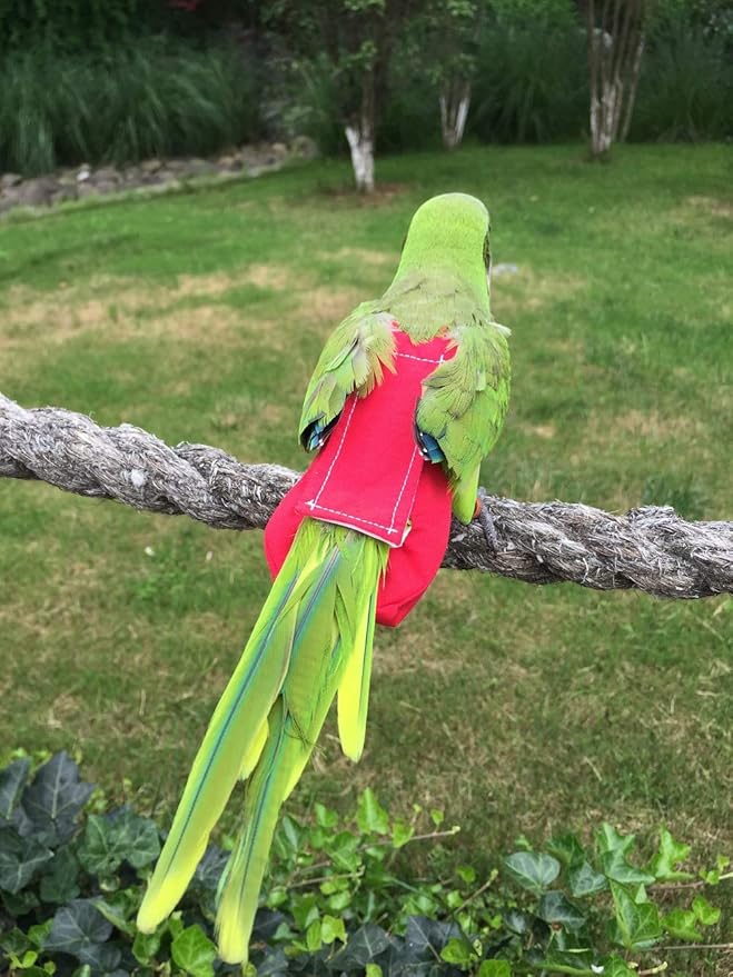 Parrot Diaper Bird Flight Suit, Bird Clothes, Waterproof Lining Pet Bird Supplies (S, Red)