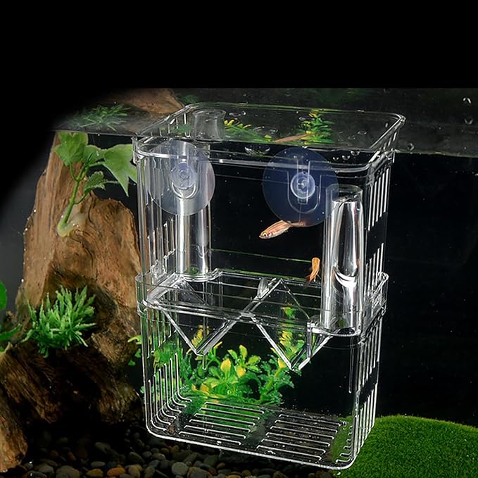 Fish Breeding Box - 20.5*9.5*9.9cm Acrylic Hatchery Incubator Tank Fish Tank Divider | Fishes Tanks Incubator Breeding Box | Aquarium Breeder BoxFish Acclimation Boxes Nursery For Injured Hatchery Inc
