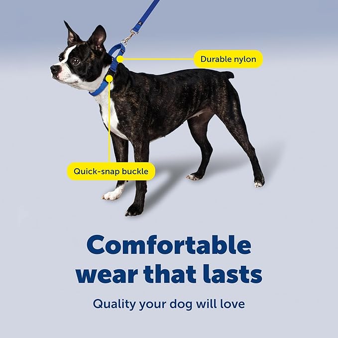 PetSafe Adjustable Martingale Collar - Improves Leash Manners - Escape Prevention - Gentle Behavior Training - Durable Nylon - Alternative to Choke Collar - Medium 3/4" - Black