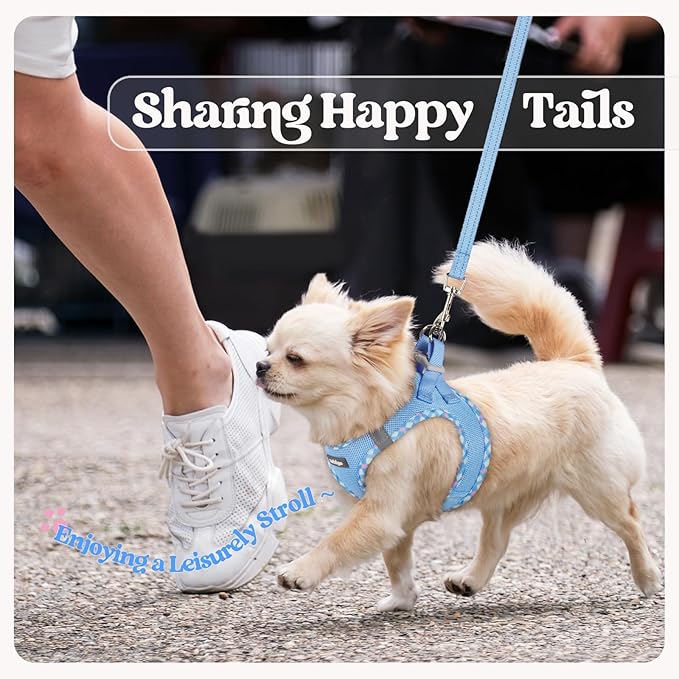 rabbitgoo Dog Harness Small Sized and Leash Set, Step in Soft Light Puppy Vest, Breathable Mesh Pet Harness, Reflective for Safe Easy Walking, Blue & Plaid Trim XS