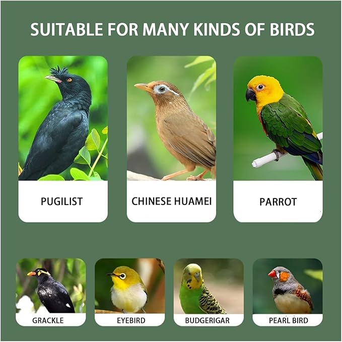 Aimery Bird Cage，Stainless Steel Birdcage，Small Bird cage，Bird Cages for Parrots，Travel Bird Cage，Bird Travel cage (Size : V40G)