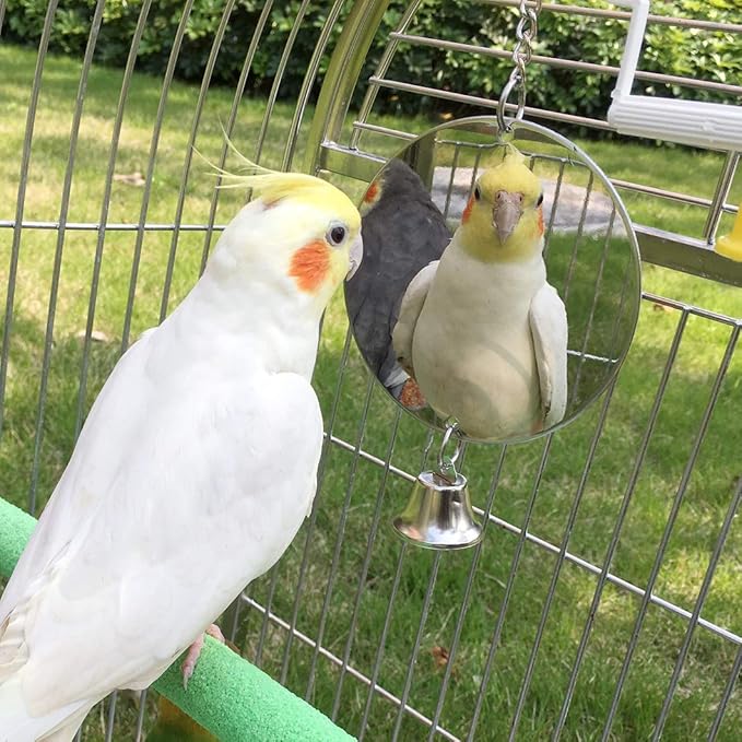 Hypeety Pet Bird Mirror Toy with Bells Hanging Toy for Parakeet Cockatiel Conure Lovebirds Finch Canary Cage Swing Fun Play Toy (Bird Mirror-1 Bell)