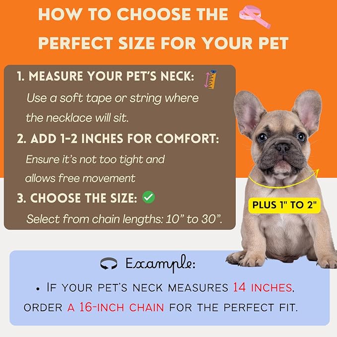 Initial Letter Cuban Chain Dog Chain Pet Chain Pet, Cat, Puppy Necklace (A, 12")