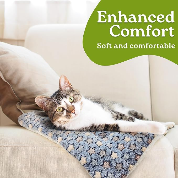 2 Pack Cat Blankets for Indoor Cats, Ultra Soft Reversible Mat, Fluffy Flannel Blanket for Small Dogs and Cats, Washable Pet Pad, X-Large