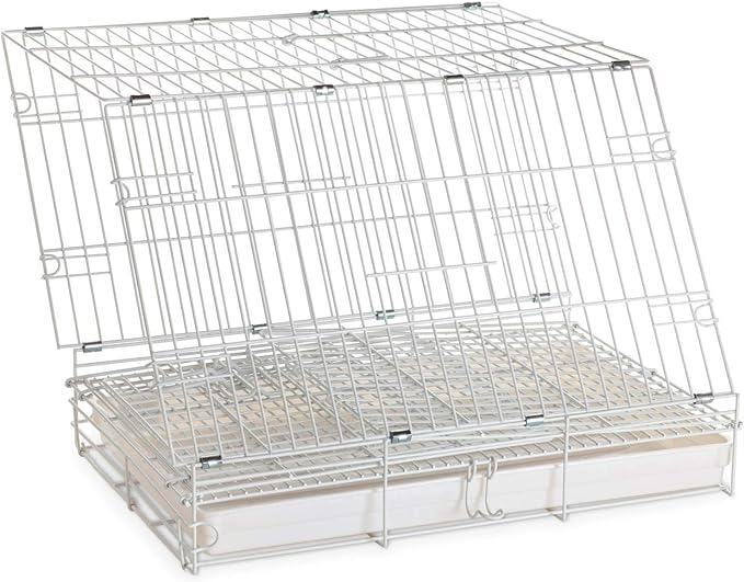 Metal Foldable Bird Parrot Travel Vet Carrier Cage with Wooden Perch and Stainless Steel Dishes Prevent Beaks Out