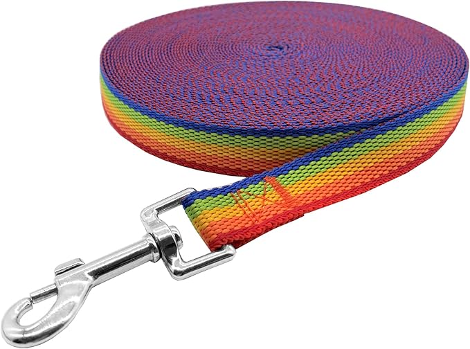 Nylon Training Dog Leash for Small Medium Large Dogs, 15ft 20ft 30ft 50ft Long Leash Dog/Puppy Lead for Obedience Recall Training, Camping (1" x 50ft, Rainbow)