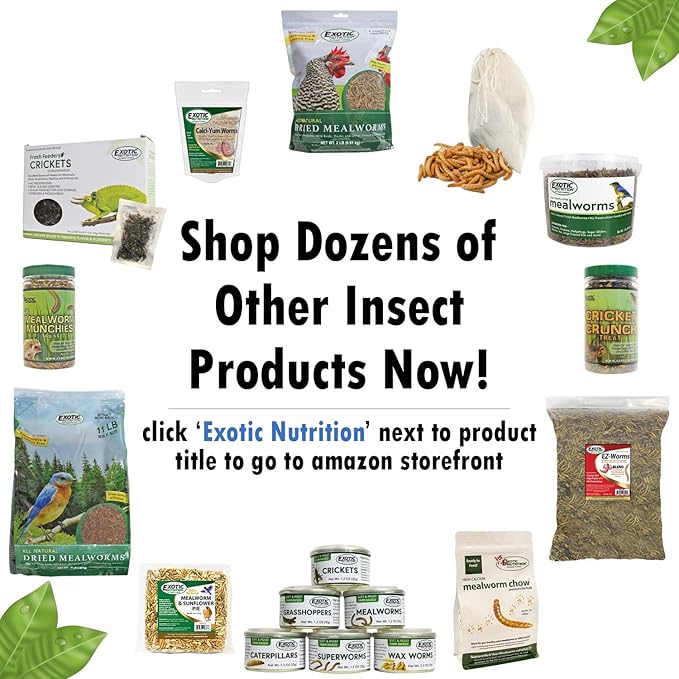Exotic Nutrition Mealworm Pie - Healthy Natural Suet Basket Feeder Treat - for Backyard Chickens and Wild Birds