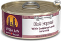 Weruva Classic Dog Food, Hot Dayam! with Lamb in Gelée, 5.5oz Can (Pack of 24)