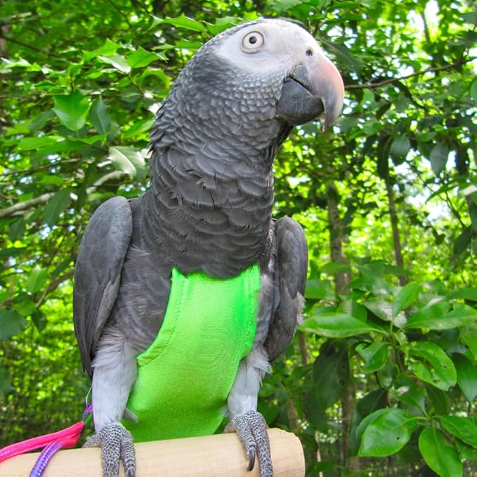 Avian Fashions FeatherWear FlightSuit Large(6) Bird Diaper in Lime Green