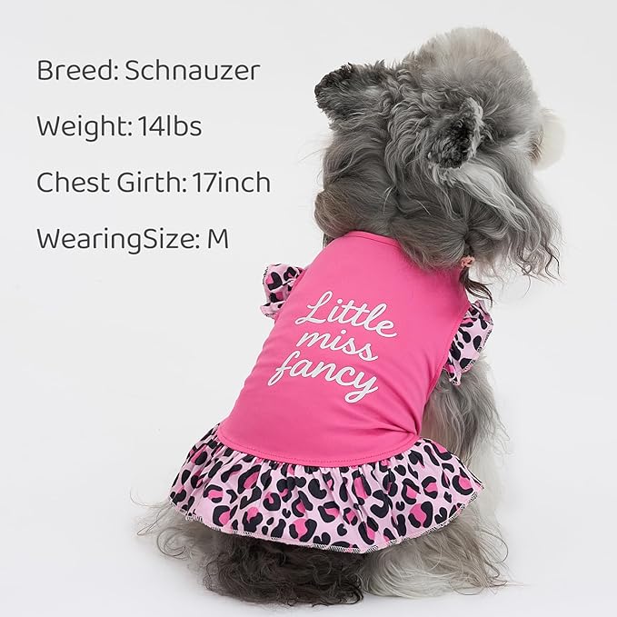 XPUDAC 4 Pack Cute Dog Dress for Small Dog, Floral Pet Clothes Sweet Girl Puppy Dress Colorful for Birthday Holiday Spring Summer Pet Outfits Skirt for Girls, M