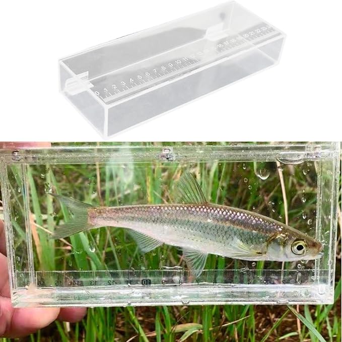 Fish Breeding Tanks Fish Isolation Box Acrylic Hatchery Incubator Portable Case Aquarium Fish Viewing Box Fishing Photo Box, 25x4.4x9cm