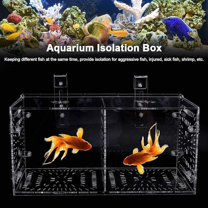Fish Isolation Breeding Box Acrylic Incubator Floating Aquarium Hatchery Breeding and Parenting Box for Fish Aquarium(30CM*15CM*15CM)