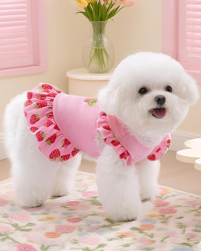 XPUDAC 4 Pack Dog Dresses Cute Printed Puppy Clothes for Small Dogs Girl Chihuahua Doggie Outfits Tank Top Vest Dresses Cat Apparel，Small(Chest-15.6")