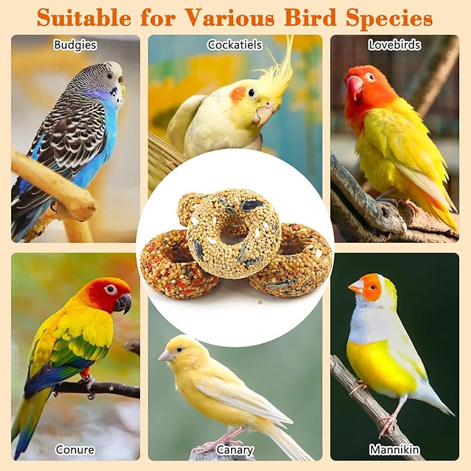 Fhiny Parakeet Treats, 4 PCS Donut Shaped Natural Grain Cockatiel Food with Fruits Vegetables Flowers and Herbs for Parrot Conure Lovebird Training Rewards and Beak Grinding