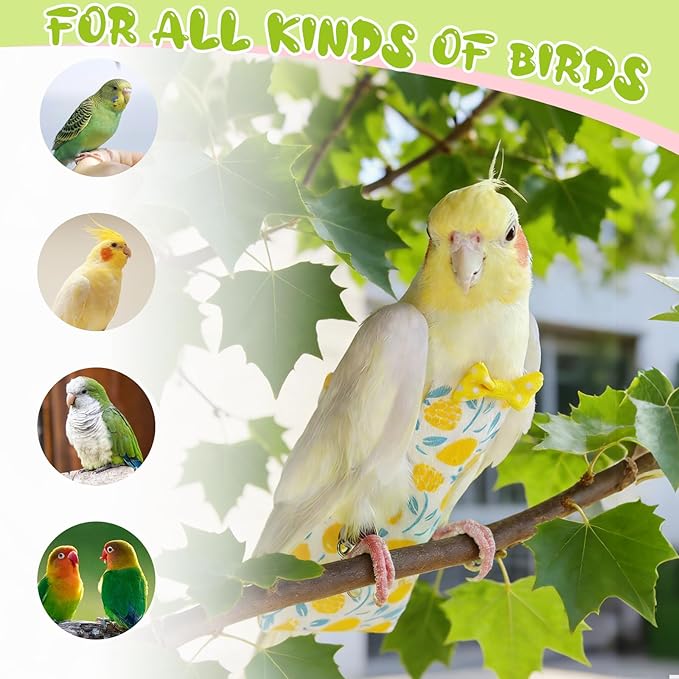 Bird Diaper Flight Suit, 3-Packs Lightweight Reusable Washable Elastic-Straps Parrot Clothes for Peony/Monk Parakeet, Prevents Poop Leaks & Feather Pecking (Bow+Lemon+Cherry, M)