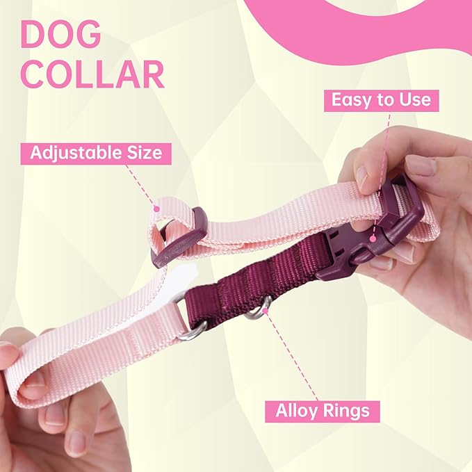 No Pull Dog Harness Leash and Collar Set, Soft Adjustable Dogs Vest Reflective and Comfortable Handle Pink X-Large