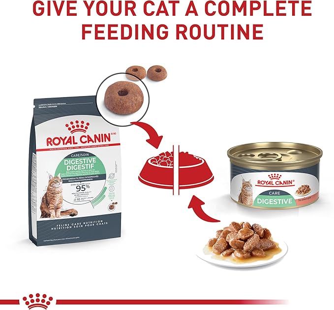 Royal Canin Feline Care Nutrition Digestive Care Adult Thin Slices in Gravy Cat Food, 3 oz (Pack of 6)