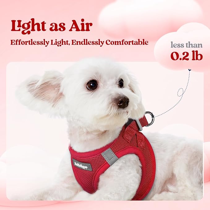 rabbitgoo Dog Harness Small Sized and Leash Set, Step in Soft Light Puppy Vest, Breathable Mesh Pet Harness, Reflective for Outdoor Safe Walking, Red XXL