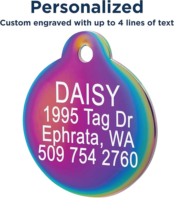 GoTags Personalized Small Indoor Cat Tag - Engraved with 4 Lines of Custom ID - Stainless Steel Round Pet ID Tag
