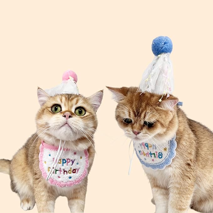 Cute Pet Birthday Costume Bandana Scarf Bib and Hat Set for Cat Small Dog, Cat Birthday Decorations Outfits (Blue)