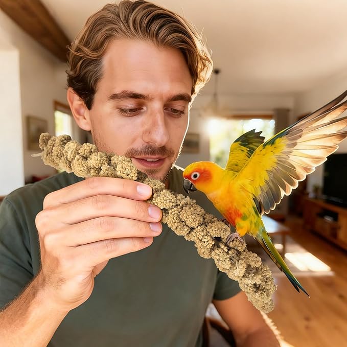 ERKOON 5LB Spray Millet Treat, All Natural Sun-Dried Healthy Treat Parrot Food Bird Snack for Parakeets, Lovebirds, Cockatiels, Finches, Budgies, Canaries Hamster, Bird Food Bulk