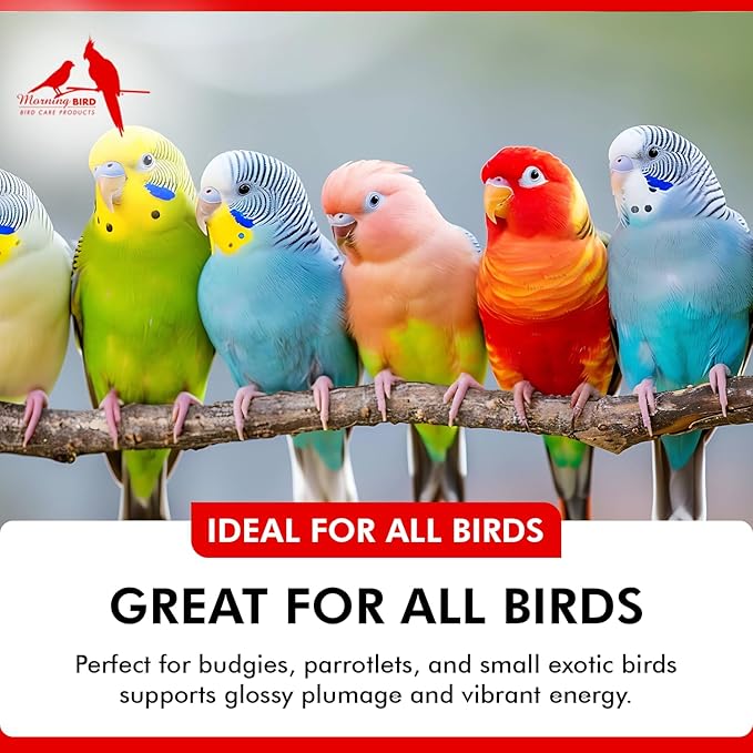Morning Bird Feather Guard Spray for Birds 8 fl oz – Soothes Irritated & Itchy Skin – Helps Reduce Feather Picking – Promotes Healing & Feather Growth – No-Rinse Daily Care Formula