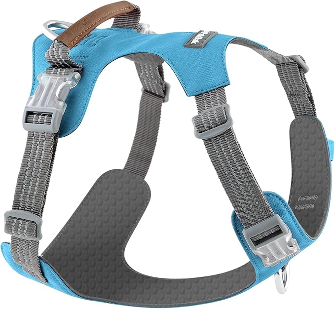 No Pull Dog Harness – Adjustable Reflective Nylon Vest for Small Medium Large Dogs, Escape Proof Training Harness with Leather Control Handle, Lightweight Aluminum Hardware (Cyan, XL)