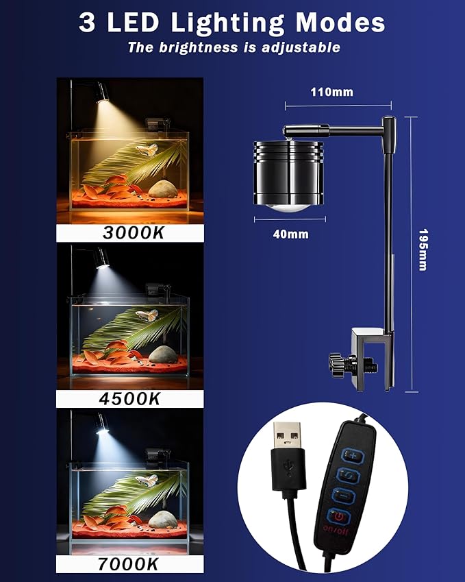 Fish Tank, 3 Gallon Ultra-Clear Glass Fish Aquarium, with Separator Plate for Betta, Fish Tank Starter kit with Filter and Led Light, Black