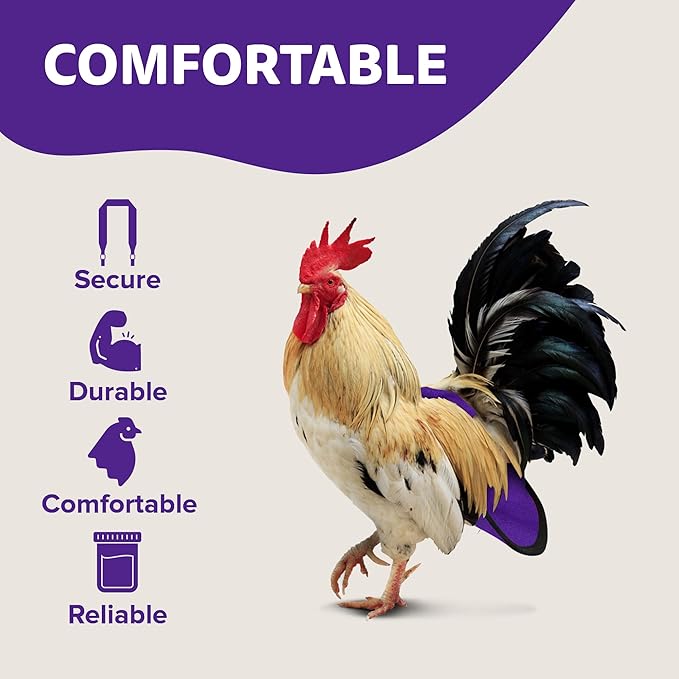 Hen Holster Bird Diaper, Wrap Around - for Hens, Roosters, Ducks, Geese, Leak-Proof Design, Comfortable Fleece Strap Bird Harness with Sewn-in Liner, Secure Hook and Loop Closure - S/M, Purple