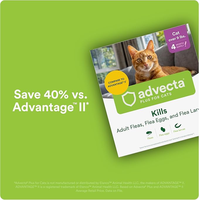 Advecta Plus Topical Large Cat Flea Treatment for Cats and Kittens, Flea Prevention and Control, Fast-Acting Waterproof Drops, 6-Month Supply