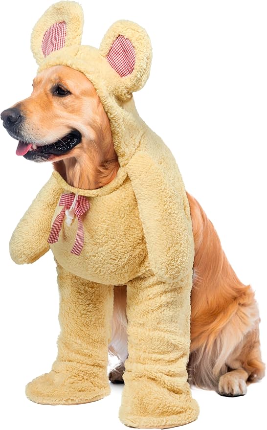 Rubies Walking Teddy Bear Pet Costume for Dogs or Cats, XL