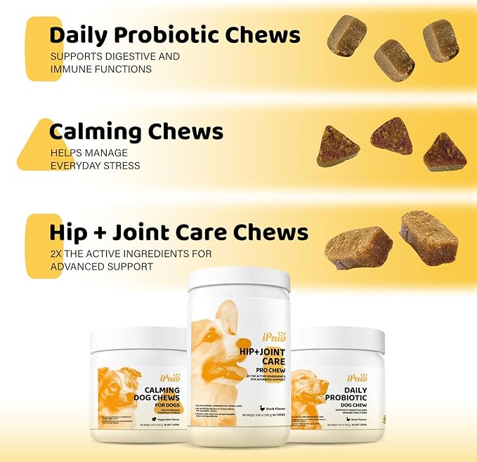 iPaw Daily Probiotic Chews for Dogs, 120 Million CFU, Probiotics Treat for Dogs' Digestive Health, Gut Health, Support Immune System, Made in USA, Duck Flavor (90 Chews)