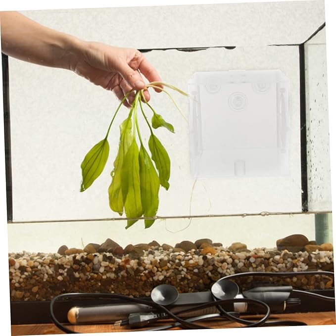 VICASKY Fish Breeding Box Acrylic Fish Tank Accessory for Safe Fry Separation Design for Aquarium Use Lightweight and Portable Isolation Container