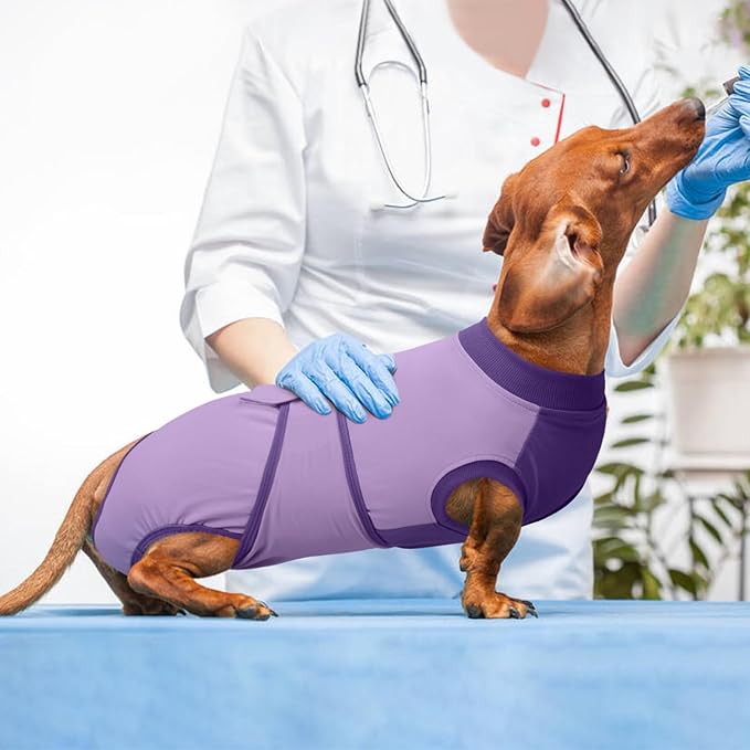 Kuoser Recovery Suit for Dogs After Surgery, Soft Dog Surgery Suit Female Male, Breathable Pet Surgical Recovery Shirt, Anti Licking Dog Onesie for Abdominal Wounds Cone Alternatives, Purple 2XL