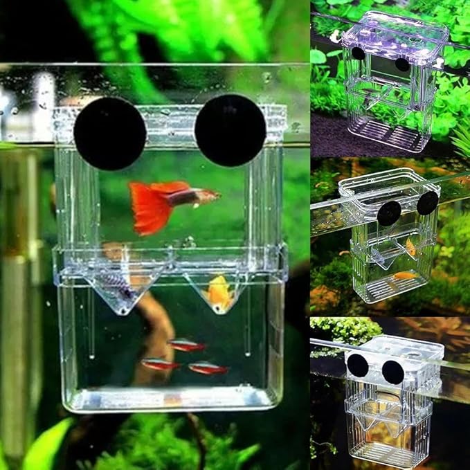Generic Aquarium Fish Tank Hatchery Incubator Breeding Box, Transparent Fish Isolation Box Acclimation Hatchery, for Baby Fish Shrimp Clownfish Guppy (S)