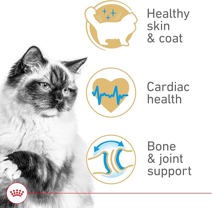 ROYAL CANIN Feline Breed Nutrition Ragdoll Adult Dry Cat Food,7 lb Bag,(Pack of 2)