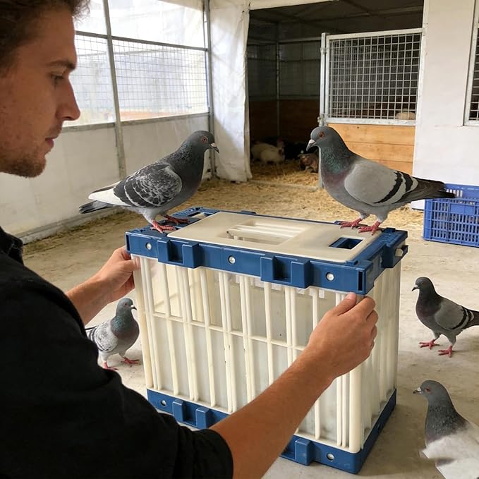 Pigeon Travel Cage - Bird Carrier with Secure Lock | Portable Folding Pigeon Cage for Homing Racing Pigeons, Training, Release, Visitation, Competition, Outdoor Parakeet Parrot Cockatiel