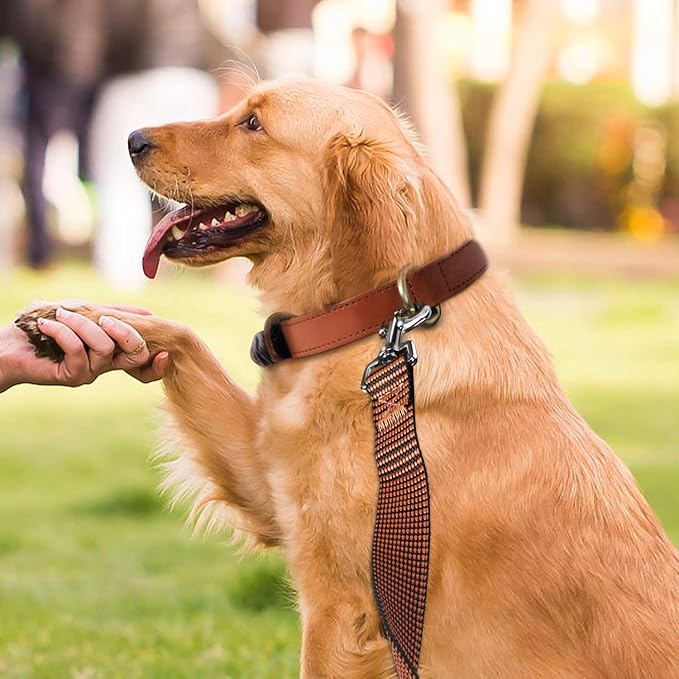 Hi Kiss Dog/Puppy Obedience Recall Training Agility Lead - 15ft 20ft 30ft 50ft 100ft Training Leash - Great for Training, Play, Camping, or Backyard(15ft,Black_Orange)