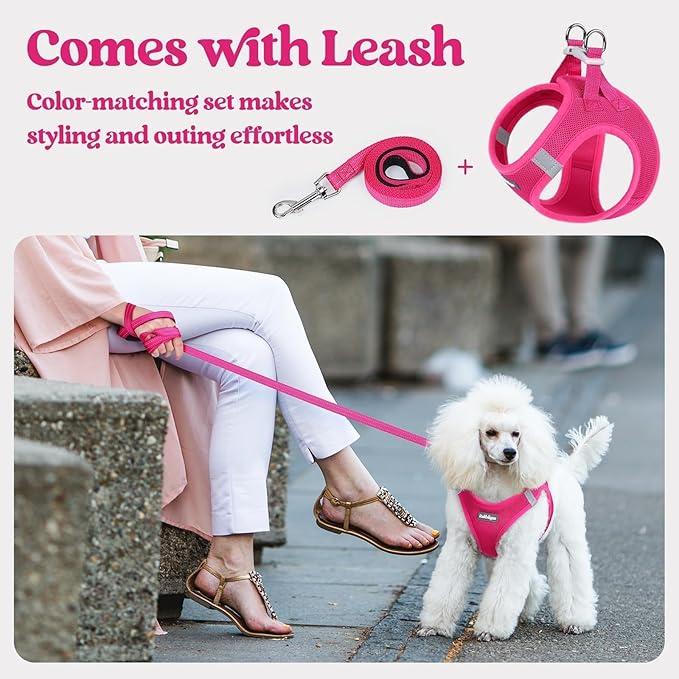 rabbitgoo Dog Harness Small Sized and Leash Set, Step in Soft Light Puppy Vest, Breathable Mesh Pet Harness, Reflective for Safe Easy Walking, Rose Red XXS
