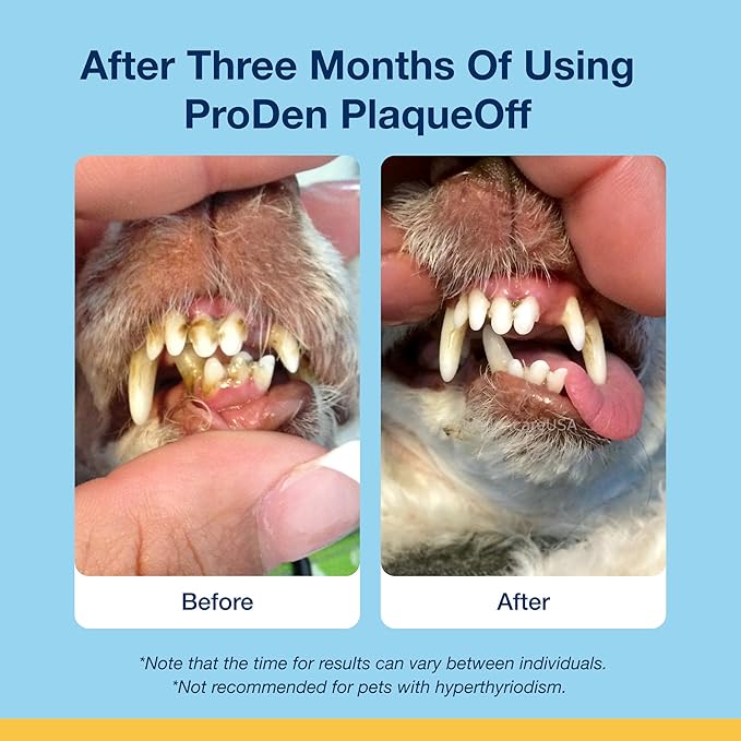 ProDen PlaqueOff Scoopables - Hickory Smoked Bacon Flavor Dental Bites for Small Dogs, Natural Kelp for Plaque & Tartar Control, Freshens Breath - Small & Medium Breed Dental Care- 45 Scoops