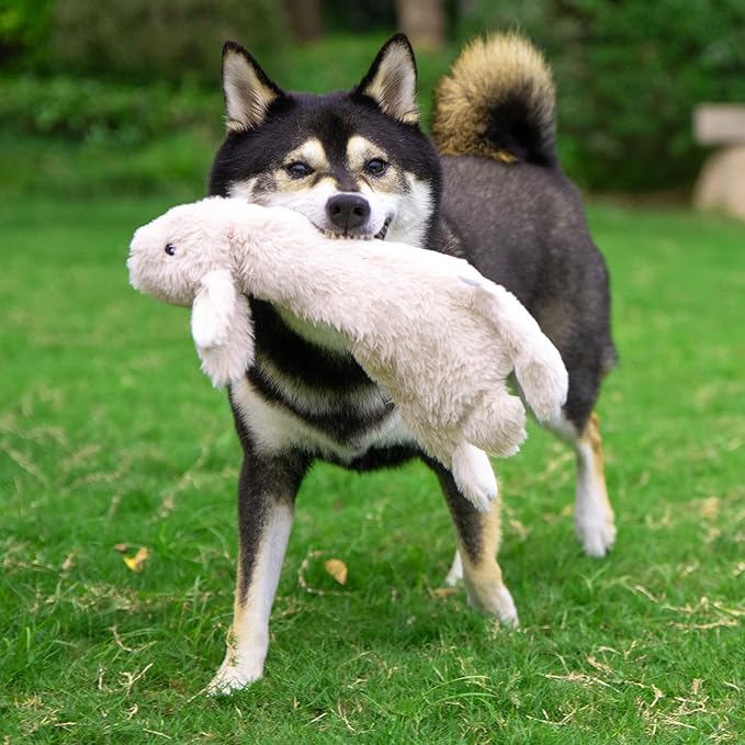 Best Pet Supplies Squeaky Dog Toys with Soft Durable Fabric for Small, Medium and Large Pets Interactive Toy for Indoor Play, Supports Active Biting and Play - 4 Figures, Large