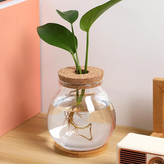 Milisten Desktop Fish Tank Small Glass Bowl with Wood Lid and Bamboo Cushion Hydroponic Plant Terrarium Betta Fish Aquarium for Home Office Decoration